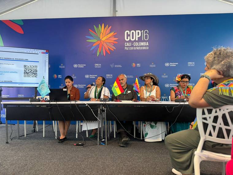 Mesa de trabajo de la COP16 en Cali, con Elizabeth García entre las participantes.