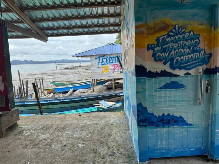 Territorio de Paz: el territorio se empodera con acción colectiva. Pacífico colombiano.